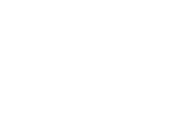 White Bricks to Clicks Logo
