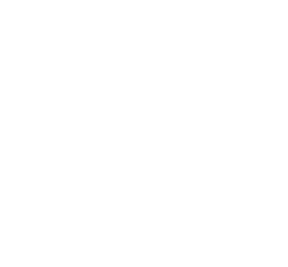 Storybrand Guide Logo 260x260